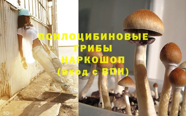 кокаин колумбия Михайлов