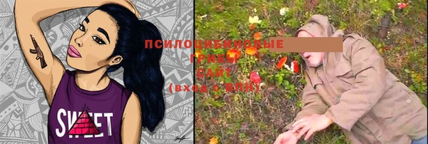 ECSTASY Навашино