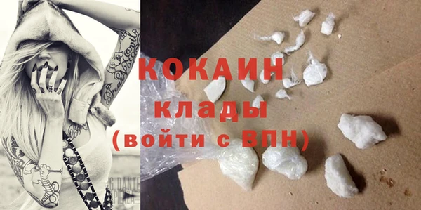 молекула духа Надым