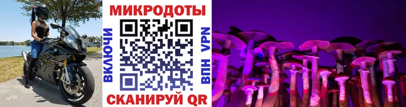 Галлюциногенные грибы Psilocybe как найти Новотроицк